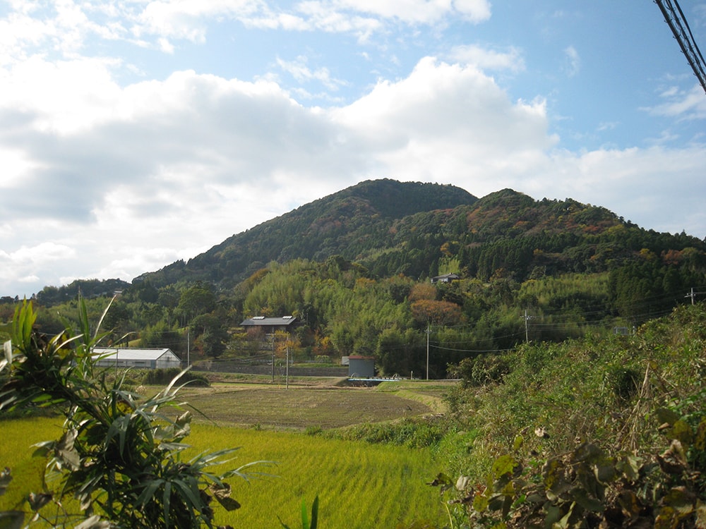 高鶴山