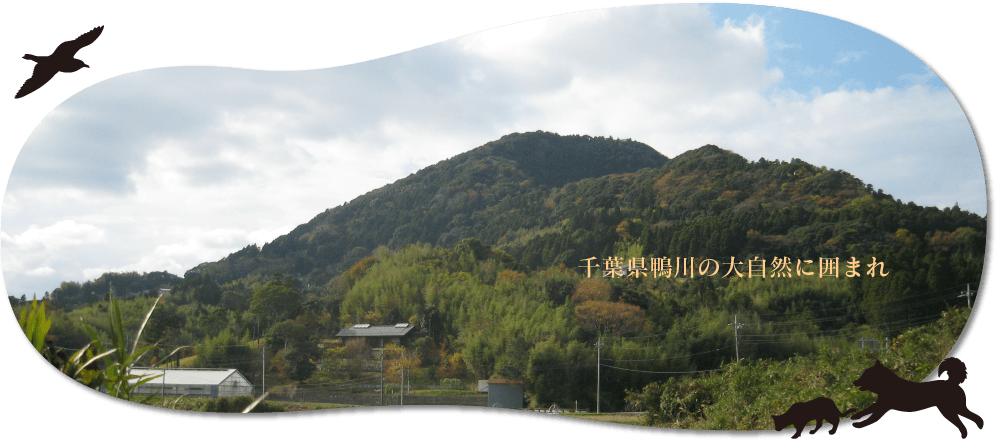 千葉県鴨川の大自然に囲まれ 千葉県鴨川の大自然に囲まれ